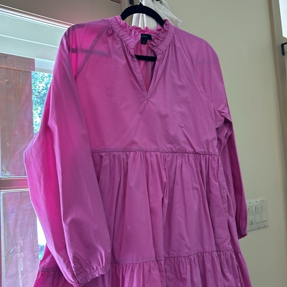 J Crew pink long sleeve dress - Picture 3 of 3
